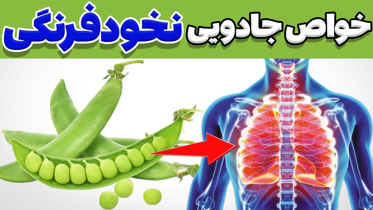 خواص نخود فرنگی | خواص دارویی و بی نظیر نخود فرنگی یا نخود سبز