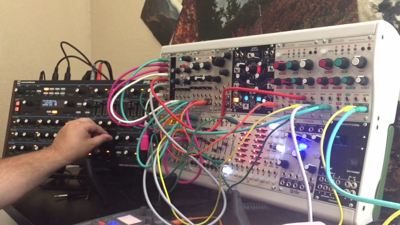 Cathedral Redwoods | Eurorack + Peak