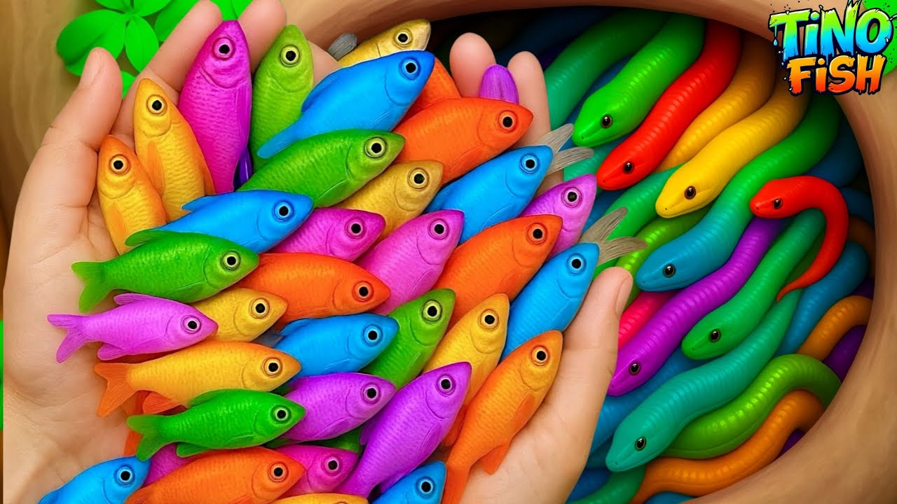 Catch colorful ornamental fish in tiny pond, goldfish, betta fish, platy fish, baby turtle, eel, koi