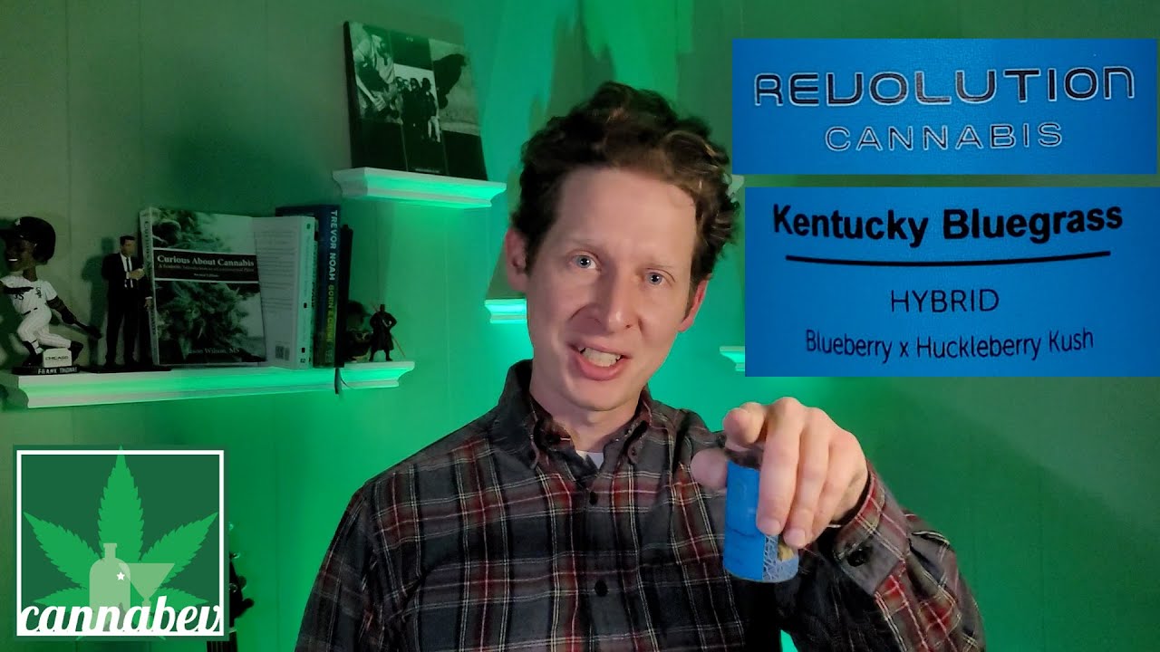 Revolution Cannabis Kentucky Bluegrass Review : Illinois Cannabis Review