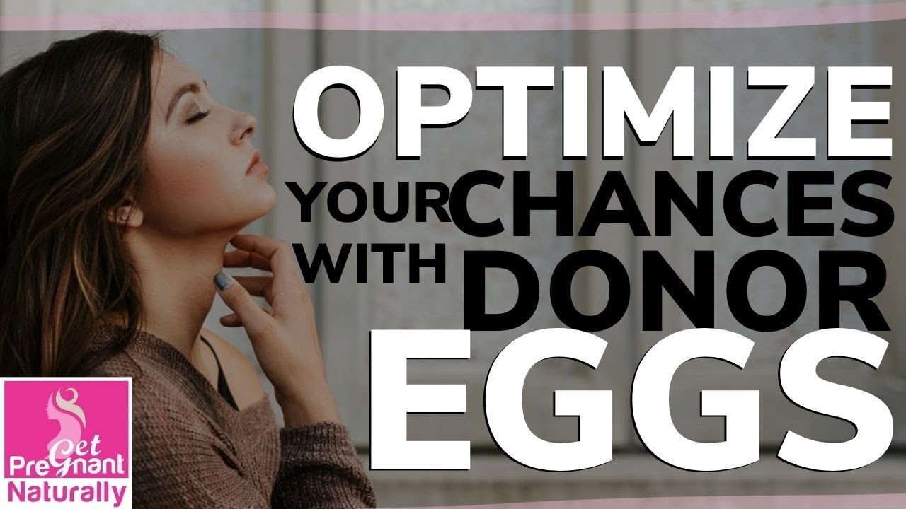 How To Optimize Your Chances With Donor Eggs | Get Pregnant Naturally