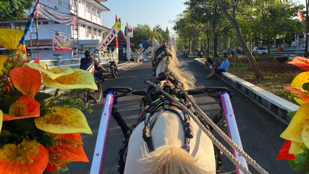 Around in the Car Free Day with horse