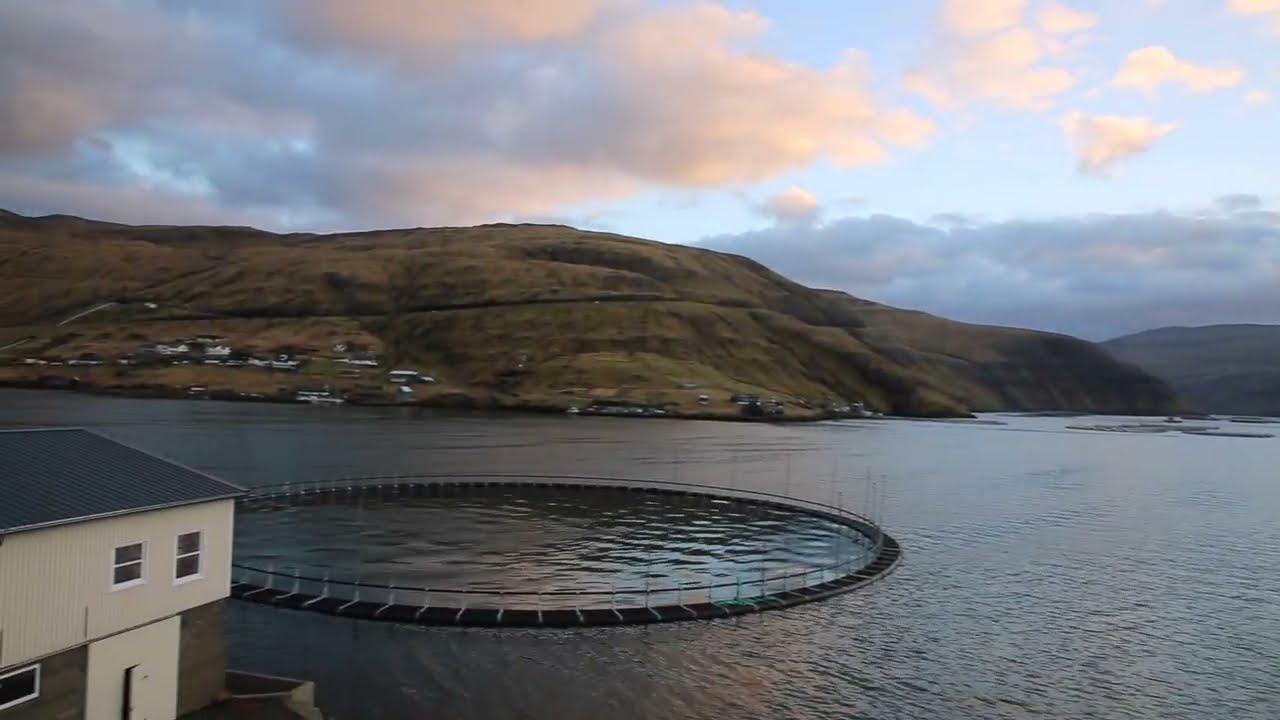 &Icirc;les F&eacute;ro&eacute; &Icirc;le de Streymoy Vestmanna Centre ville / Faroe Islands Streymoy Vestmanna Center
