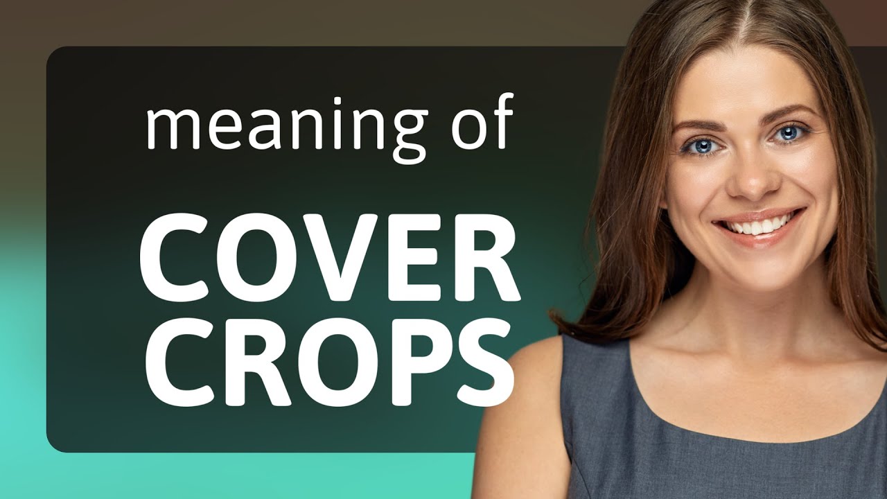 Uncovering the Meaning: 