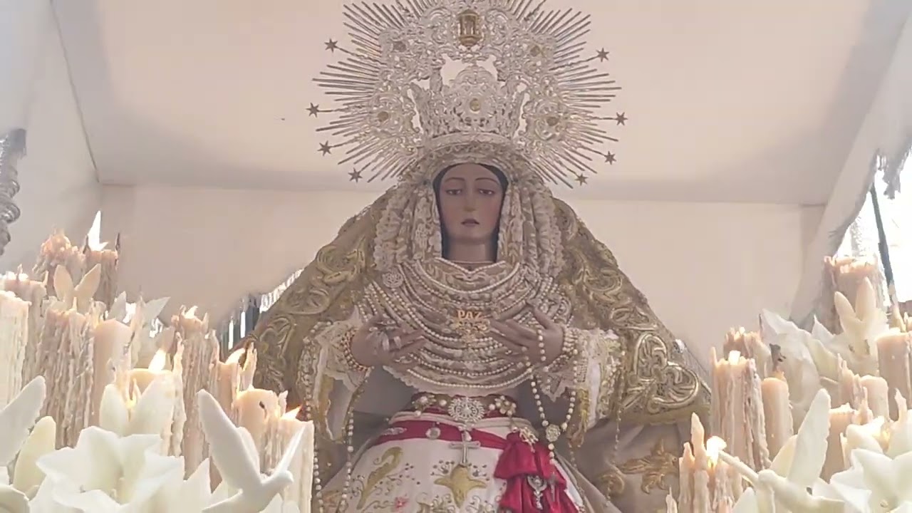 Encierro de la Hermandad de la borriquita parte 2 Domingo de Ramos 2024 Almería
