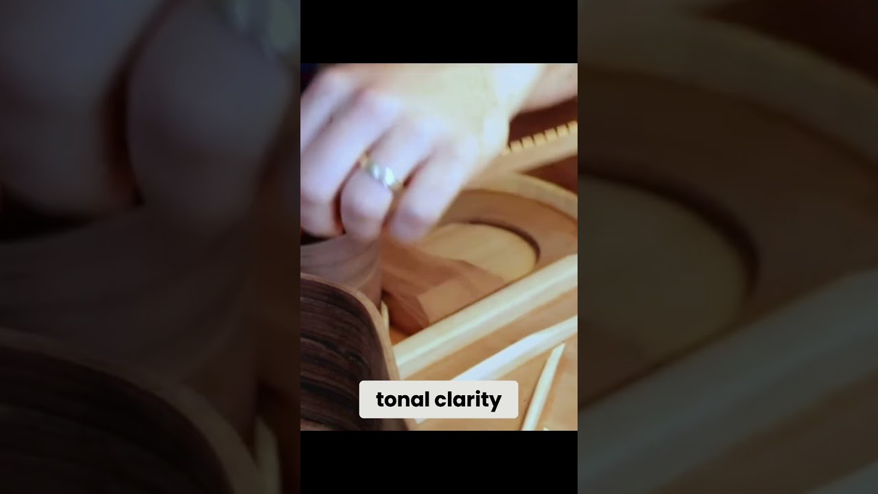Daniel Stark DT Guitar: Innovation & Beauty