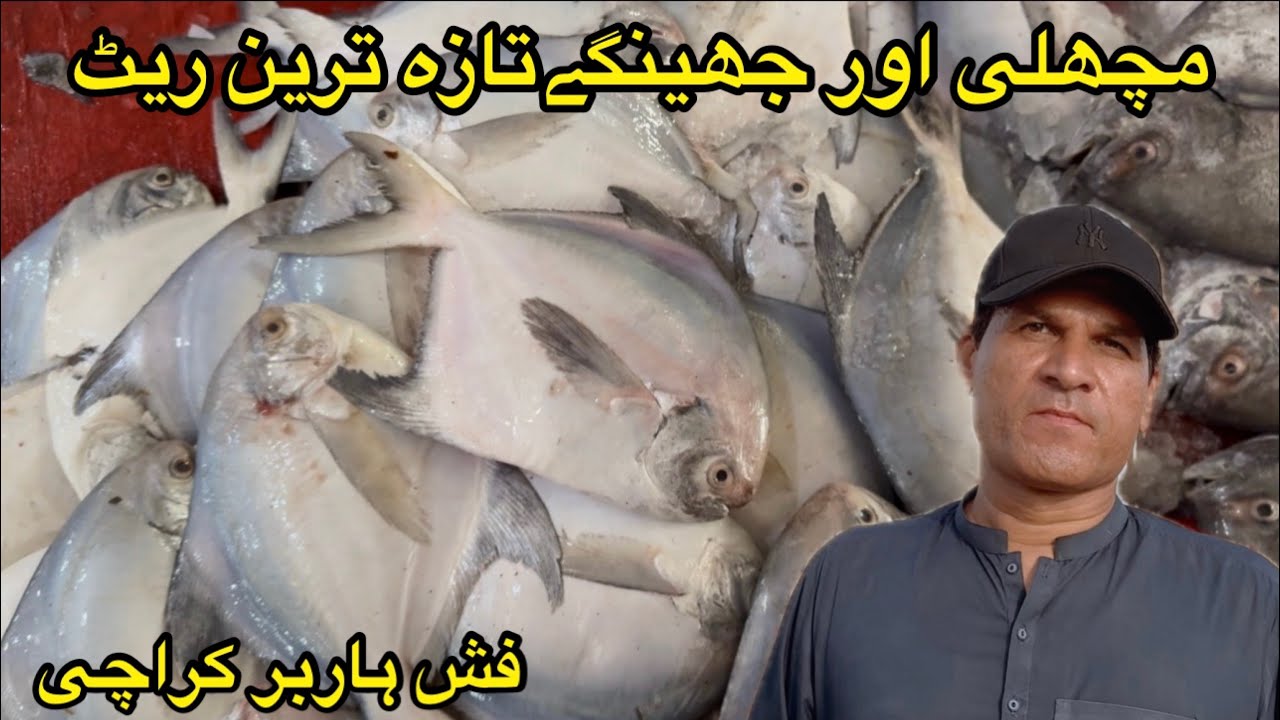 Fish & prawns 🍤 fresh price update karachi fish harbour August 30, 2025
