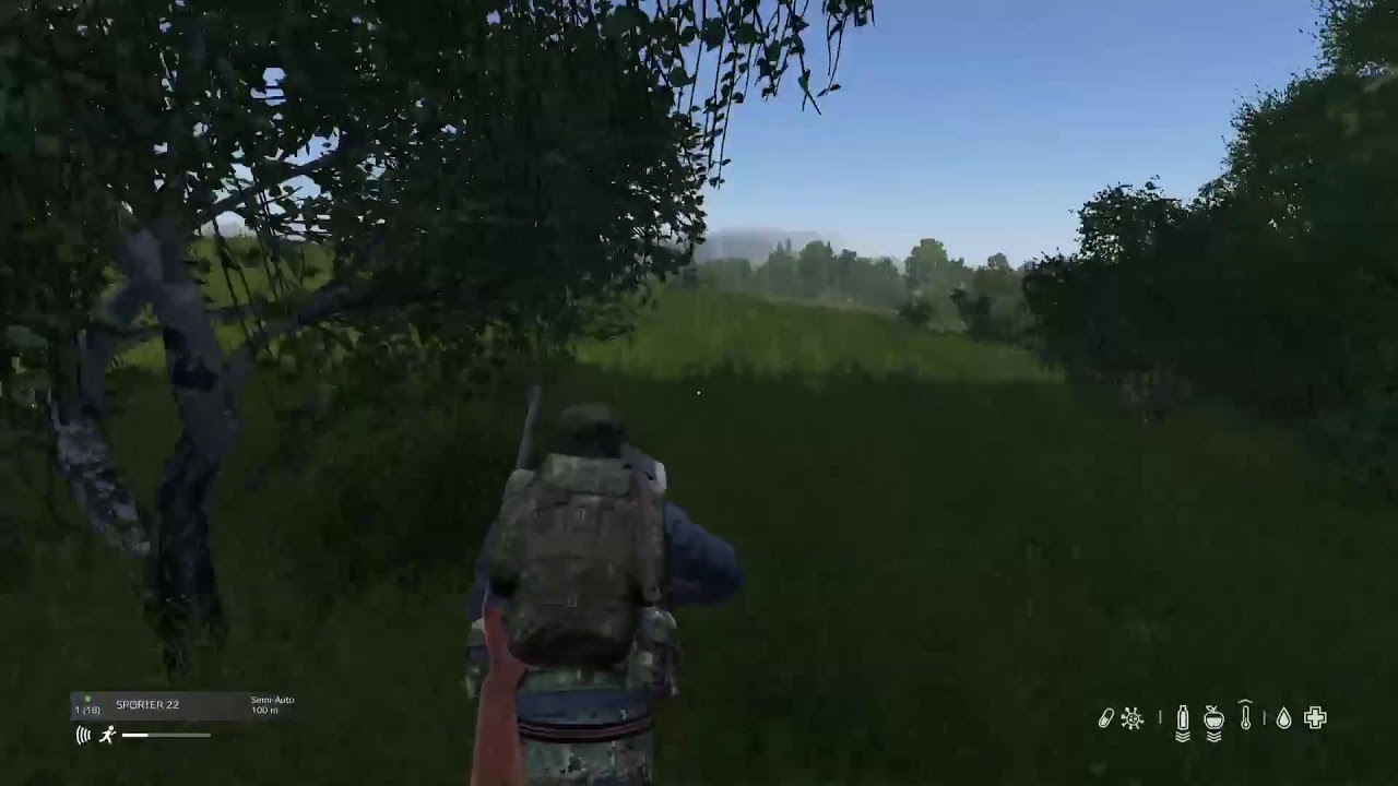 Dayz day6