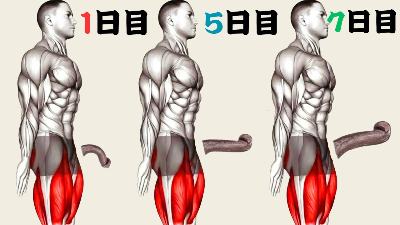 【8分フォロー型】安定したコントロールを育てる骨盤底筋トレーニング｜自宅でできる毎日習慣