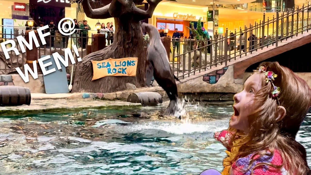 Framily Fun at the Sea Lion Show! West Edmonton Mall Adventure 🦭🌊
