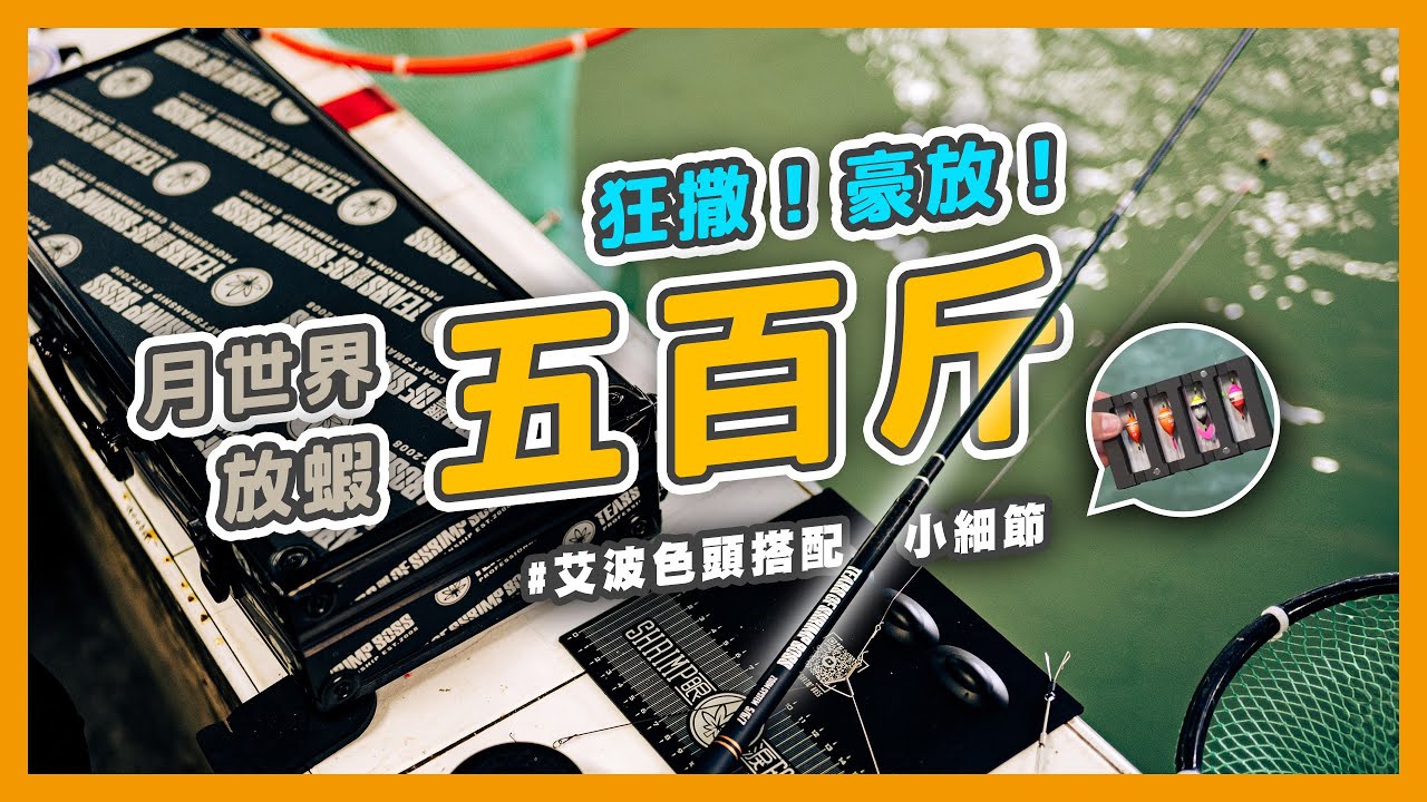 ＃蝦場老闆的眼淚｜五百斤初體驗 ｜手抓蝦合法｜眼淚竿彎度｜艾波色頭運用｜台中網紅釣蝦場
