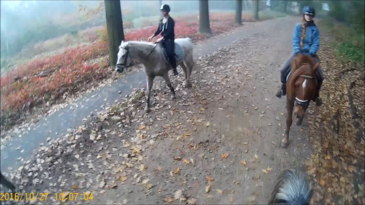 Buitenrit Stal Eikelboom 27 - 10 - 2016