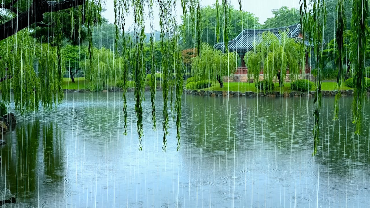 Drift into Deep Sleep Quickly with Light Rain on a Garden Pond | ASMR White Noise