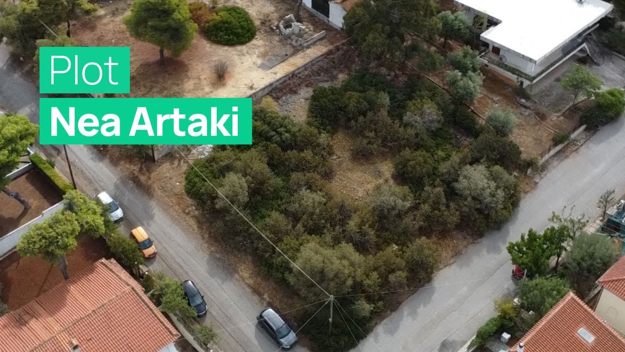 Evia - Nea Artaki - Plot