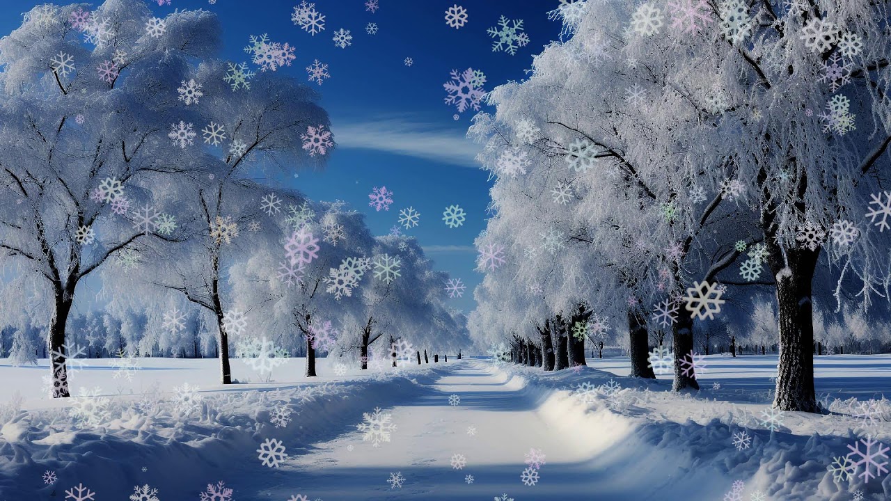 ❄️ Winter Solitude 🎹 Peaceful Piano Music 🏔️ Serene Backdrop for Study & Rest