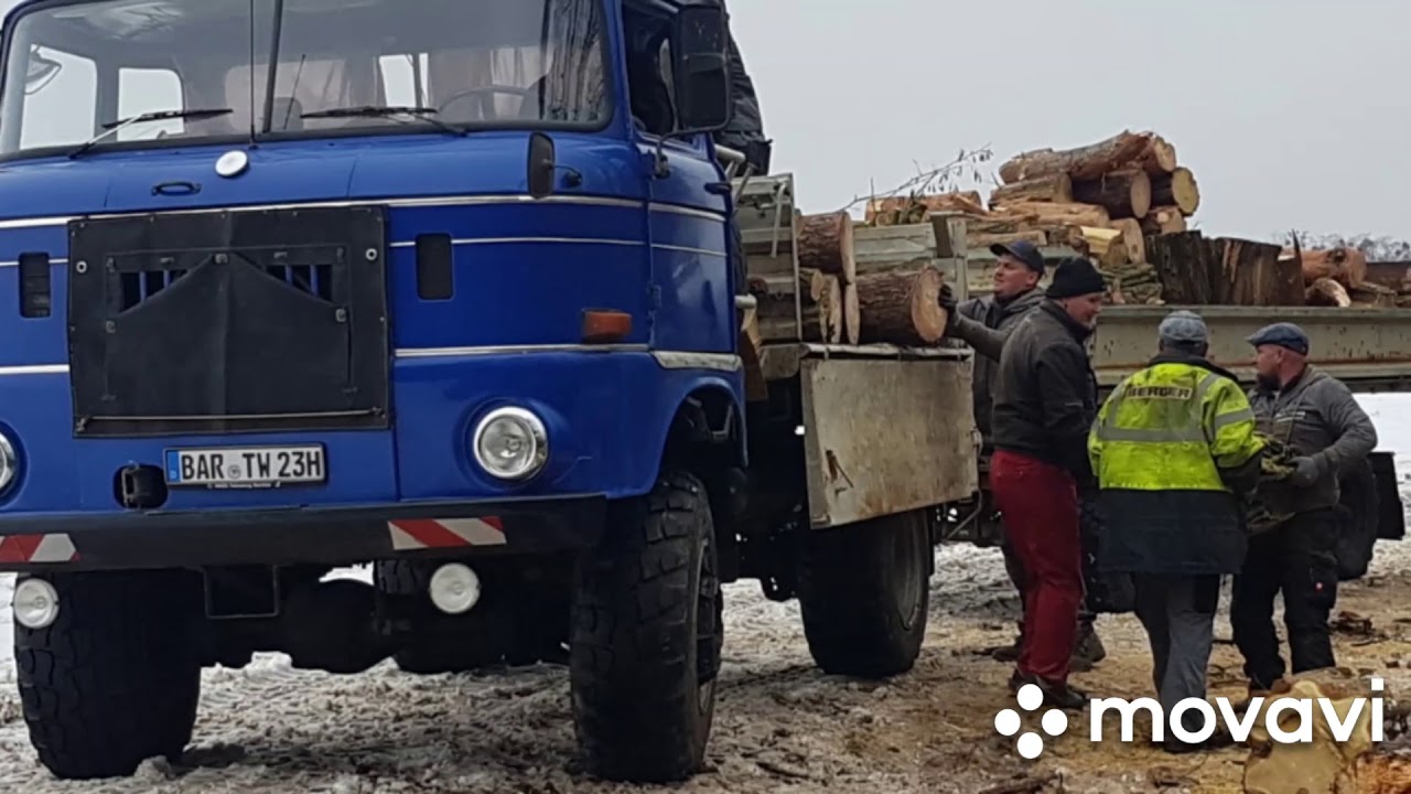 mal andere Wald Action #mit mts80 und w50
