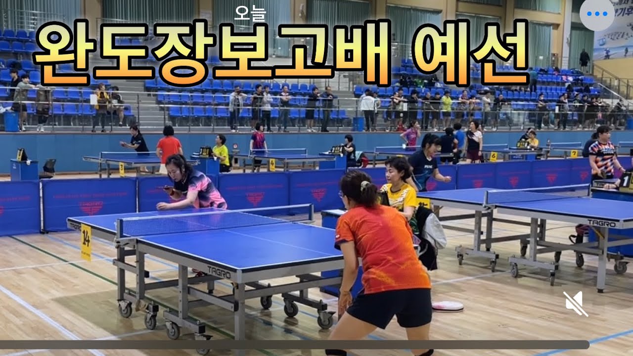 완도장보고배 예선전