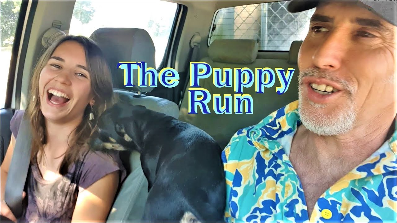 Doing the Puppy run with Hana~Clay Tall Stories