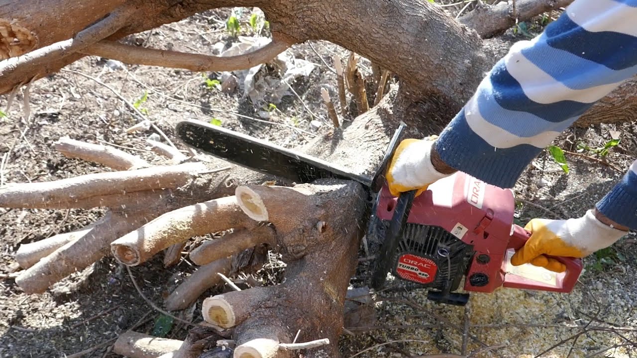 Husqvarna Stihl değil ama çok sağlam makina, Orac turbo 650 Motorlu Testere