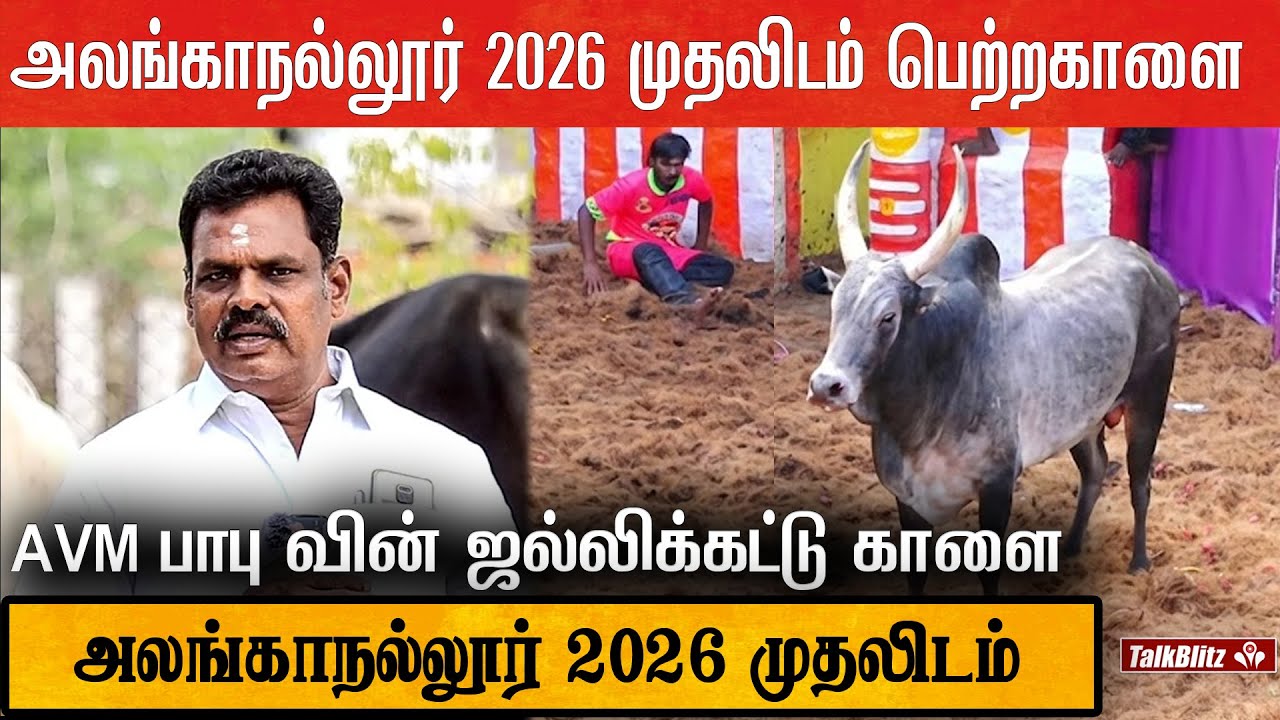 ALANGANALLUR JALLIKKATTU 2026 WINNER | 1ST PRIZE காரை பரிசாக பெற்ற ஜல்லிக்கட்டு காளை | திரு.AVM பாபு