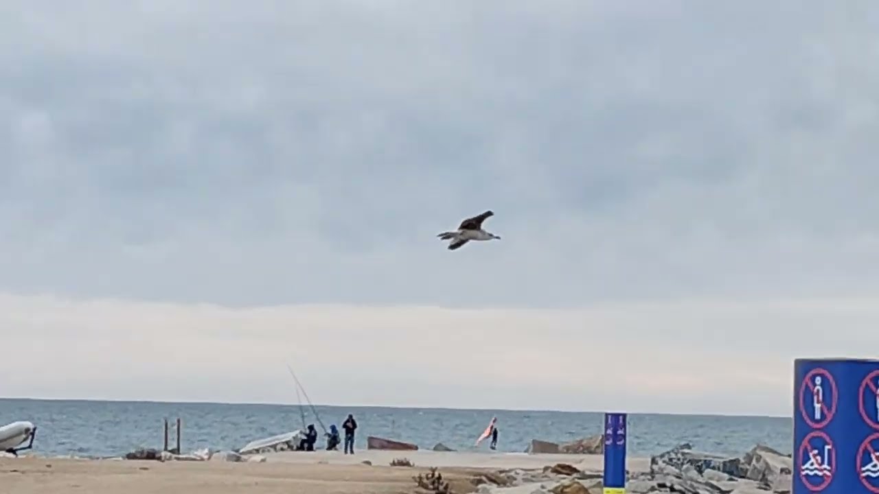 Зима на пляже Барселоны