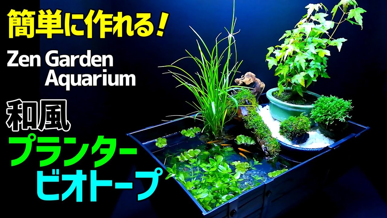 【超簡単】プランターで作るメダカの和風ビオトープ/誰でも作れる本格的なメダカのビオトープ /Japanese Zen Garden Aquarium