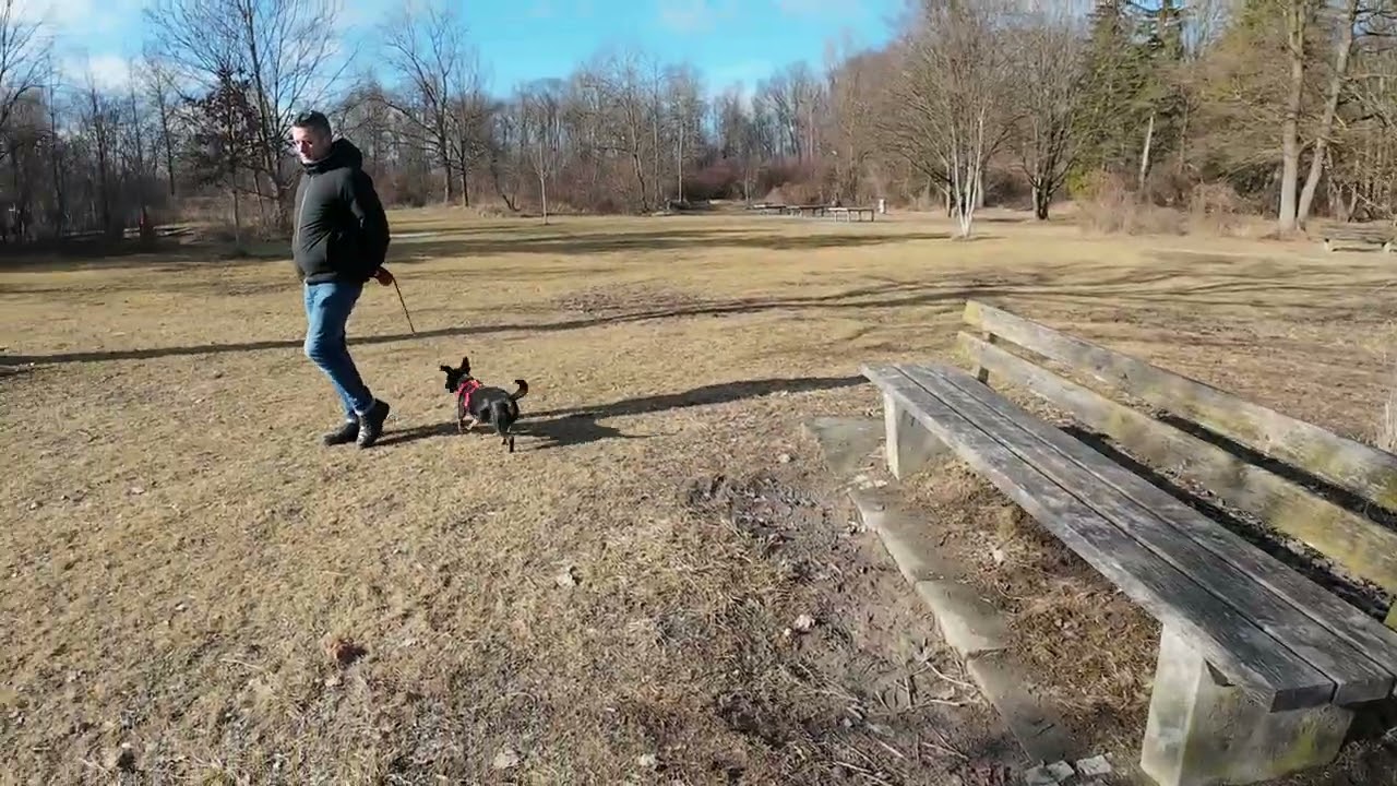 Poschinger Weiher München Februar 2026