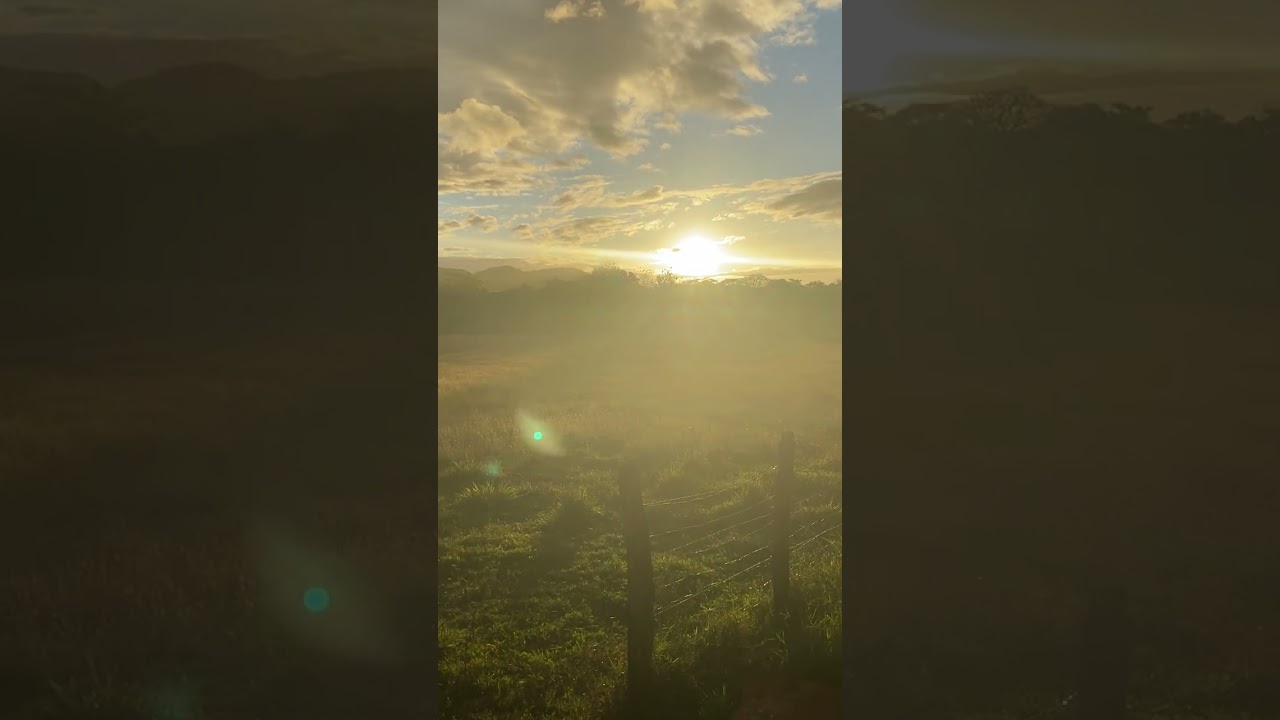 Día 4 Parte 1