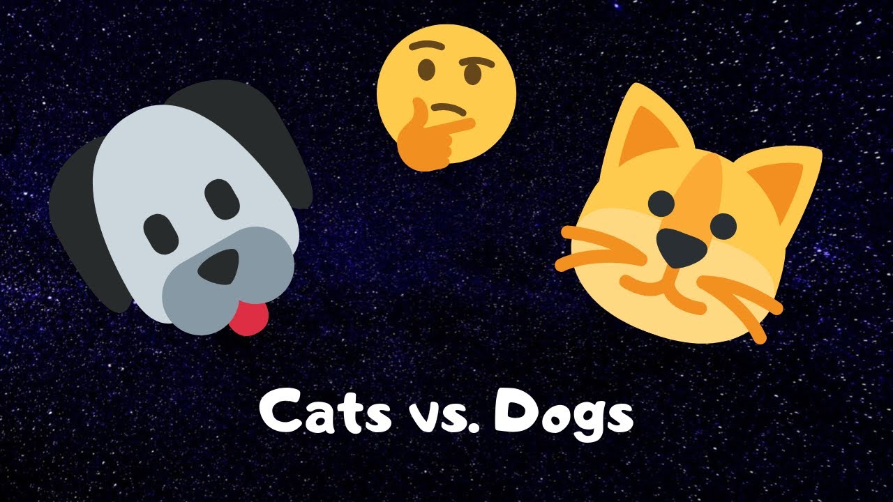 Cats Vs  Dogs | Debate