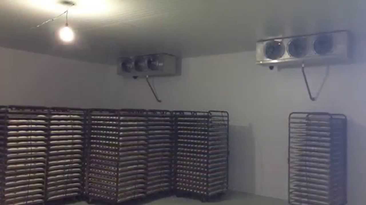TÚNEL DE CONGELAMENTO - CÂMARA FRIA - CORTINAS DE AR #refrigeração #refrigeraçãoindustrial