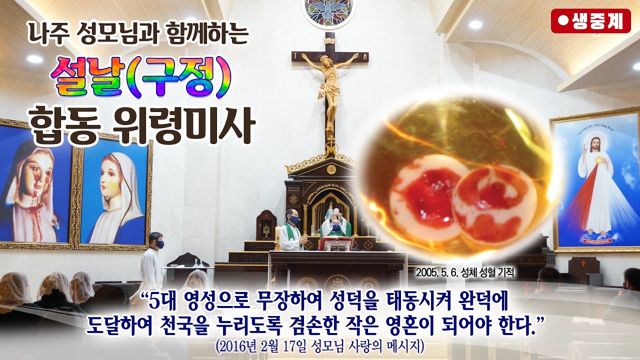 [매일미사] 2026년 2월 17일 설 미사
