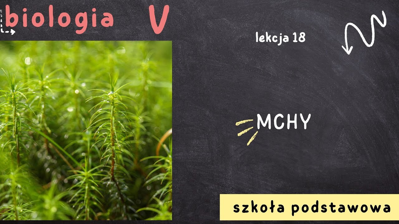 Biologia klasa 5 [Lekcja 18 - Mchy]