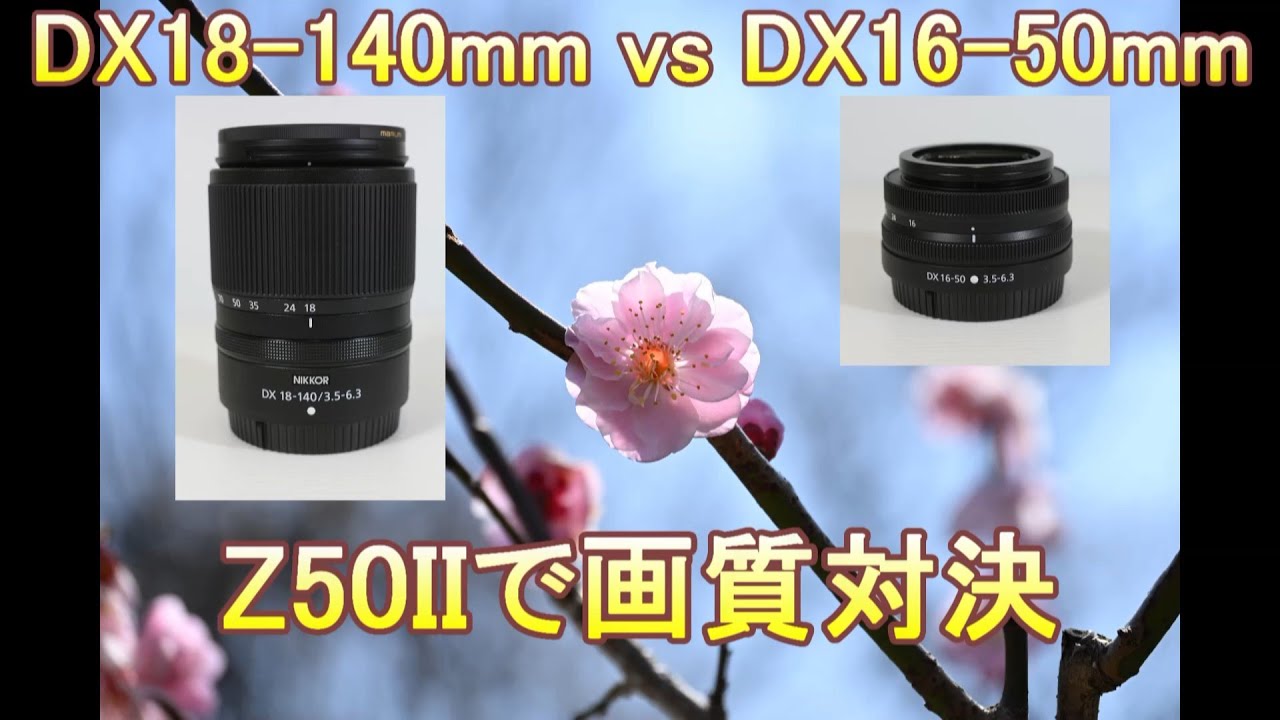 NIKKOR Z DX 18-140mm vs DX 16-50mm Z50IIで画質対決（Eng Sub）