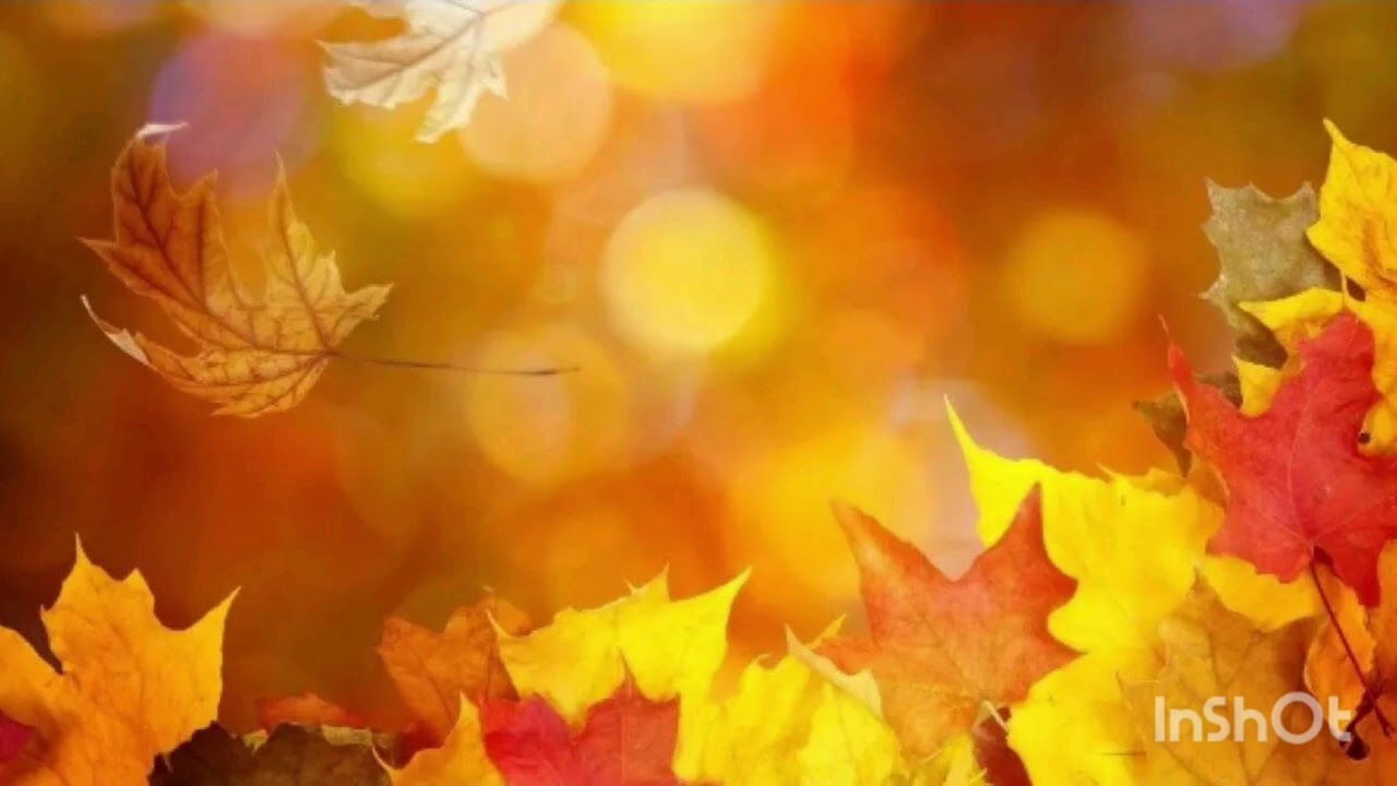 Audiobook Pumpkin spice cafe Chapter 1 