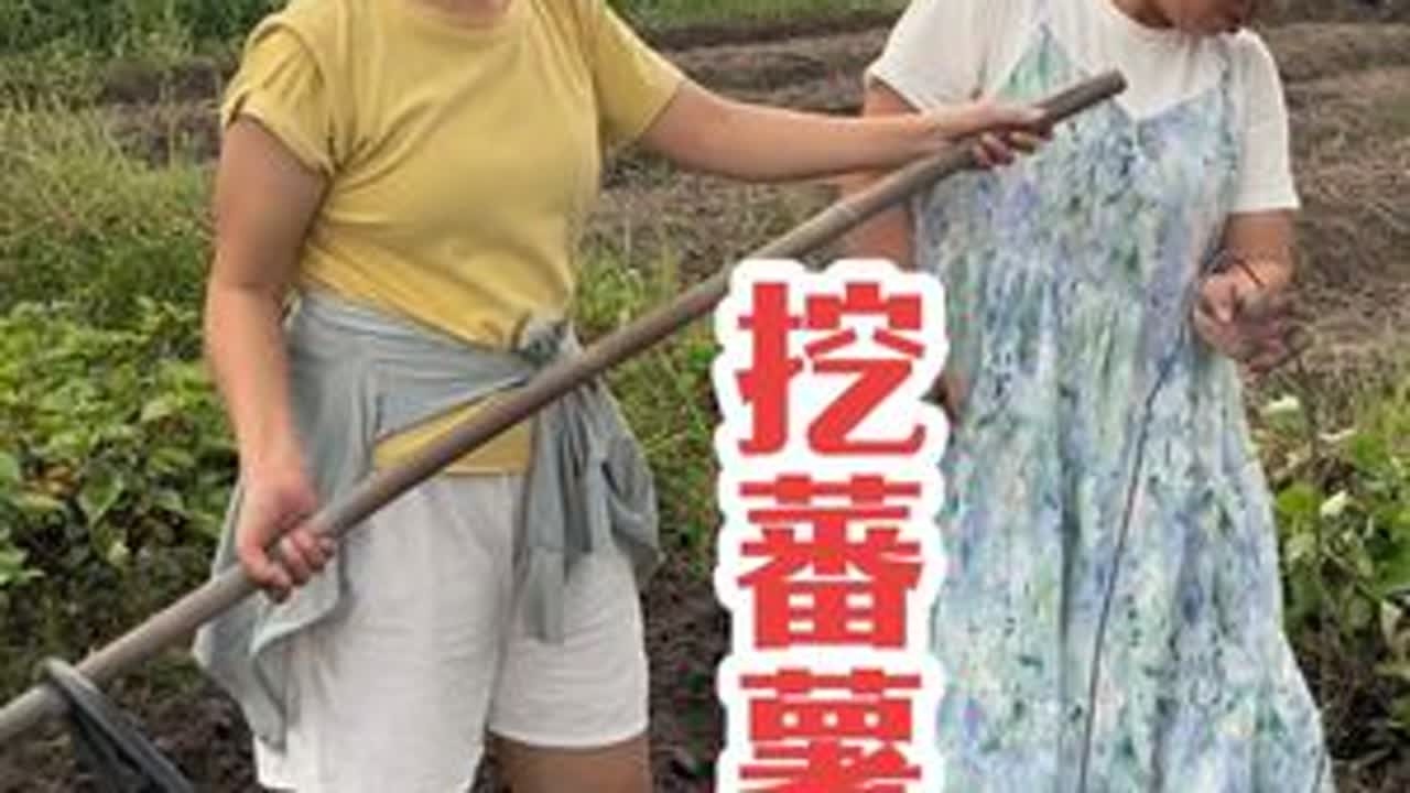 挖蕃薯 今天小丽是怎么了，那么勤快的？😂#三农 #内容过于真实 #看土味视频品百味人生 @DOU+小助手