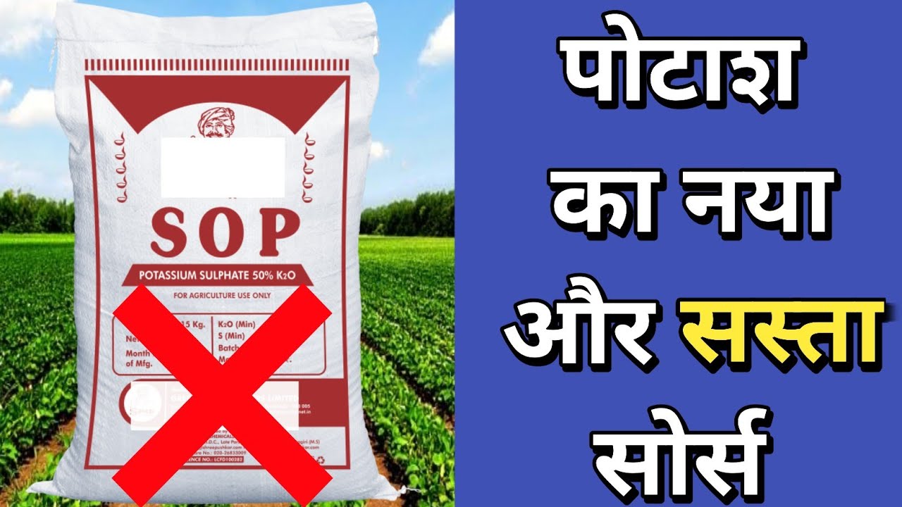 MOP SOP को छोडो पोटाश का सस्ता और ॲार्गेनिक सोर्स
