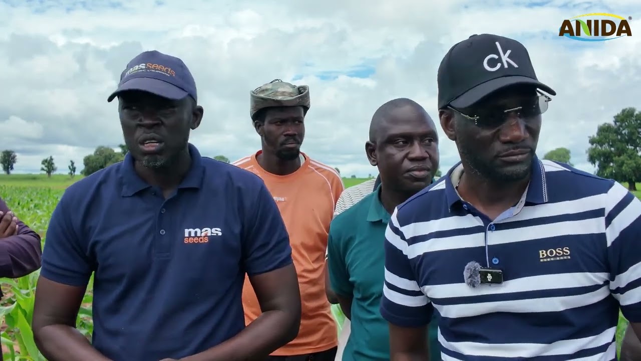 À Toolu Baay, les coopératives en action