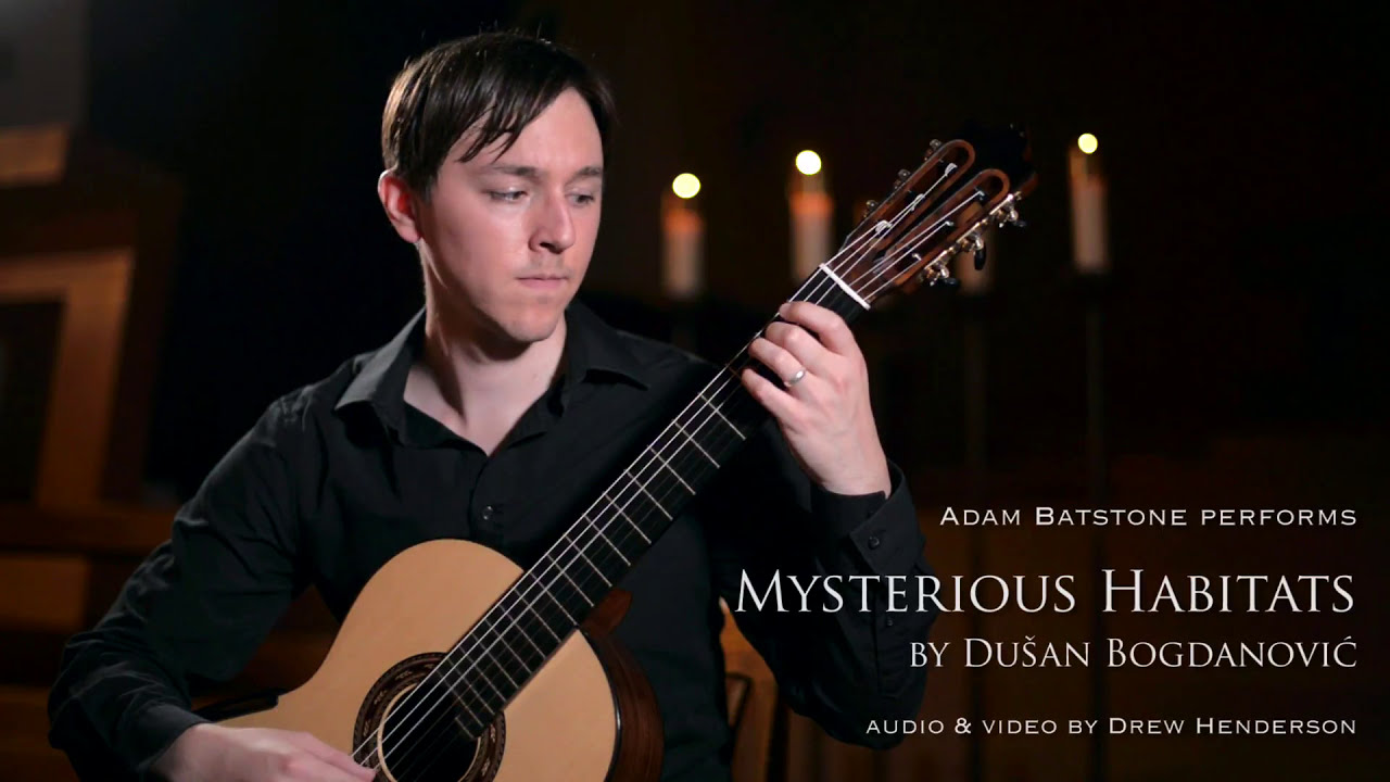Dusan Bogdanović - Mysterious Habitats
