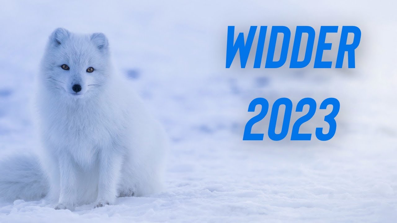 ♈️ WIDDER 2023 JAHRES TAROT #widder #tarot #jahreslegung