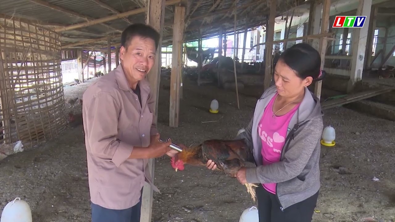 TĂNG CƯỜNG PHÒNG CHỐNG DỊCH BỆNH CHO ĐÀN VẬT NUÔI
