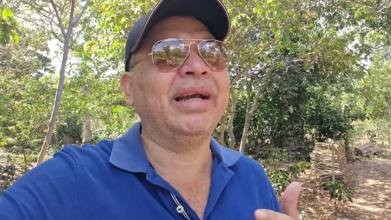 Haciendo podas por que ya esta subiendo el café por eso hay que trabajar tu finca.