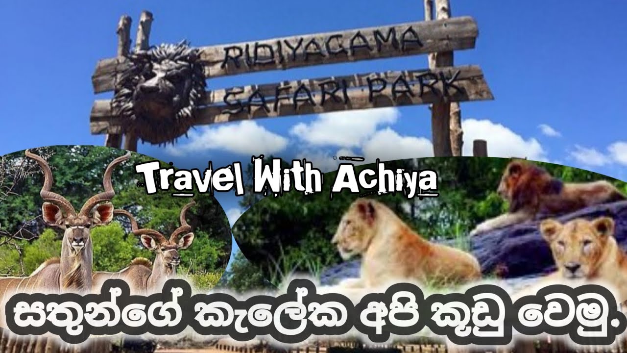 safari sir lanka  |  ridiyagama safari | ridiyagama safari park ticket price | Travel with Achiya