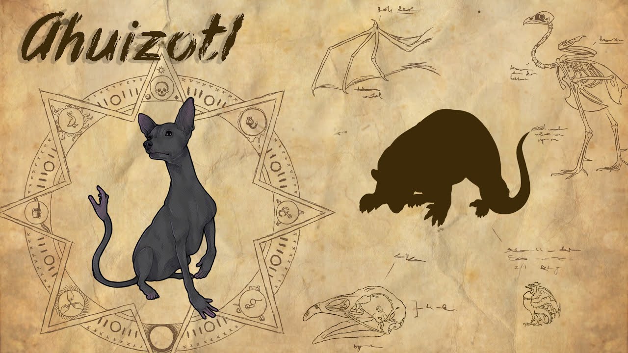Ahuizotl - Nail-biter Episode | Monsters Dissected Season 2
