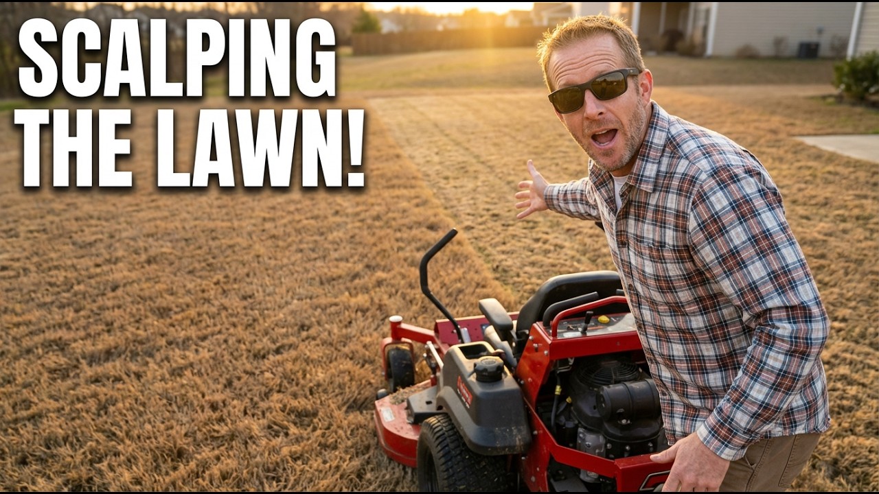 DIY | Scalping Your Way to a Lush Zoysia Lawn