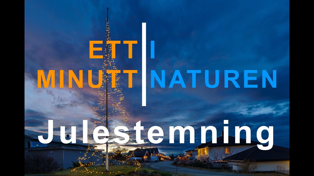 Ett minutt i naturen - Julestemning i Vasøya