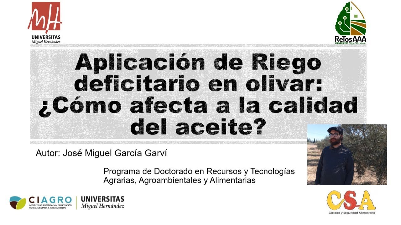 Aplicaci&oacute;n de Riego deficitario en olivar: &iquest;C&oacute;mo afecta a la calidad del aceite?
