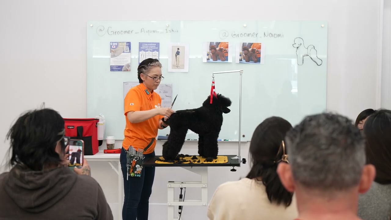 Poodle Trim - Ayumi Ishii