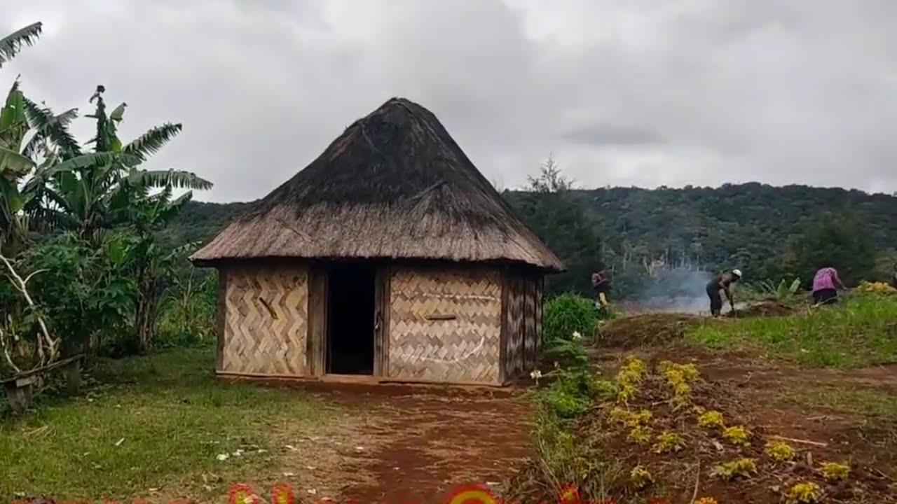 A village in Papua New Guinea