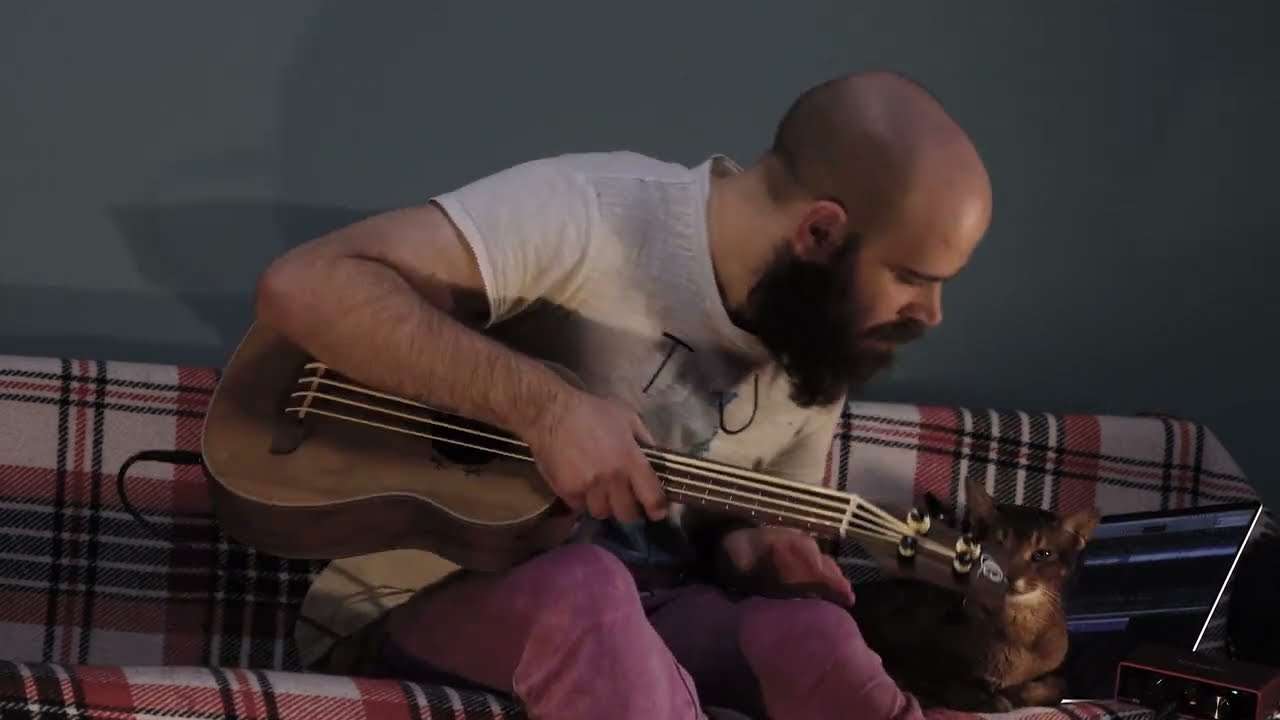 Animal Spirits broken version by cat