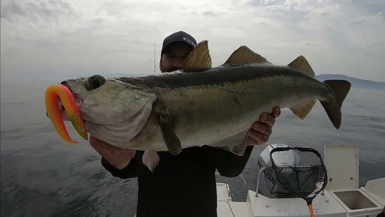 🚀FIIISH CRAZY Sand EEL color 🟠🟡 MANGO JUICE (🎣 & 🎵) #32 Best FISHING videos FUNNY